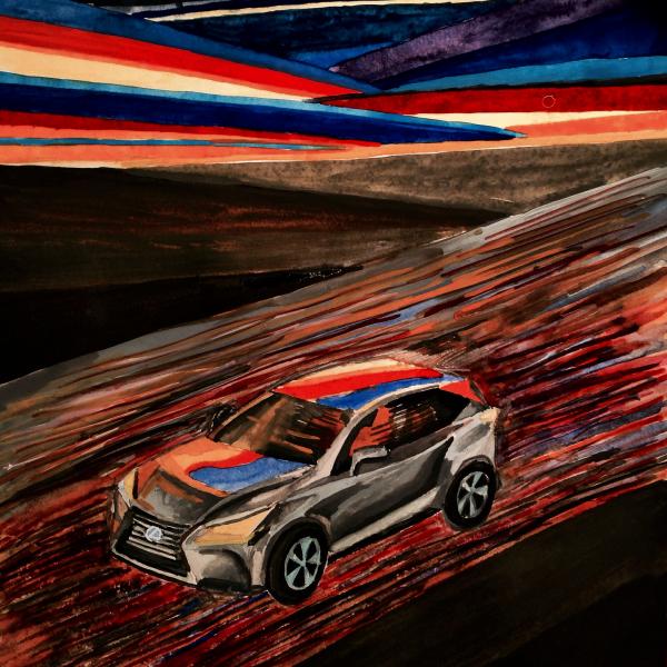 Шкилькова Валерия Lexus NX 300H