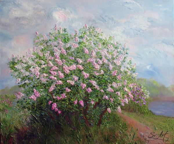 Artemova Svetlana Куст сирени