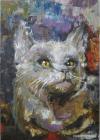 Влайку Ана КотоМуза
