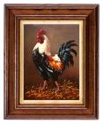 vukovic dusan Rooster - the master of the yard
